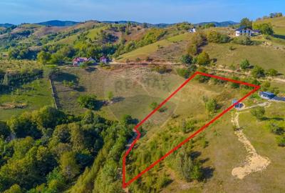 Teren de 6014 mp, în Holbav - 8