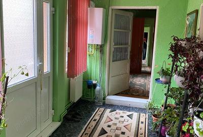 Casă cu 5 camere în Central