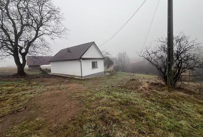 RECO, casa in Sinteu, aproape de Huta Slavia - 22