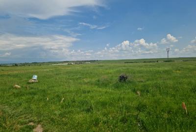 Teren extravilan in Tg Jiu, str. Ciocarlau - 5