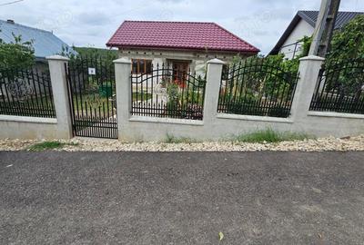 Casă cu 3 camere cu Teren 1500 Mp în Drislea - 5