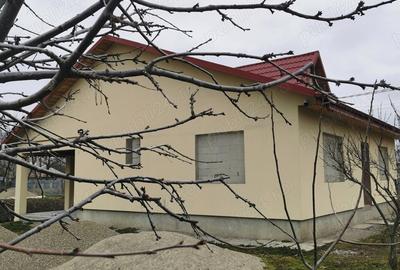 Vand casa in Sat Lanurile, Jud Braila - 4