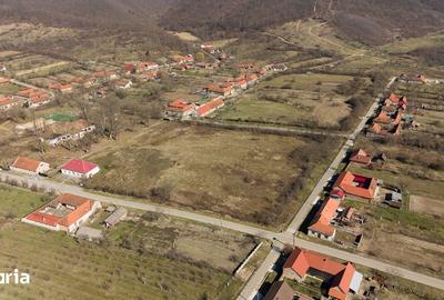 Casă cu 8 camere cu Teren 7235 Mp în Traian Vuia - 13