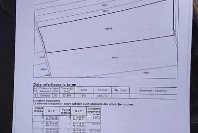 Casă cu Teren 1300 Mp în Silvașu de Sus - 2