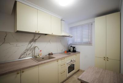 Apartament cu 6 camere, mobilat în Parcul Carol - 15