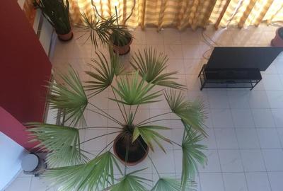 Casă individuală cu 6 camere cu Canalizare în Pipera - 2