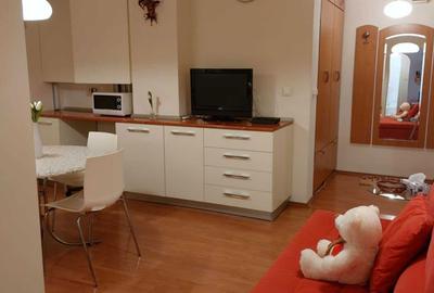 Apartament cu 2 camere semidecomandat în Central - 4