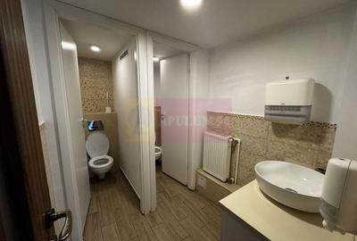 Casa Zona Dorobanti | Floreasca | Curte - 8