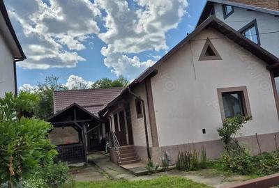 Casa de vanzare in Seaca Calimanesti la drum DN 7(E 81) - 4