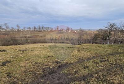 Teren de 2971 mp, în Stroiești - 2