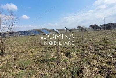 Teren de 978 mp, în Drăguțești - 3