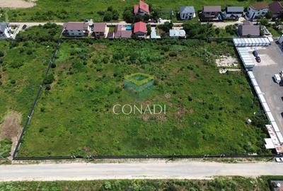 Teren Mogosoaia -  6.000 mp - PUZ aprobat pentru vile P+1E - 2
