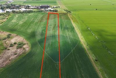 Teren de vanzare Chitila / loturi de casa/ Investitie / intravilan - 2