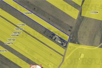 Spațiu comercial, în Sibioara - 4