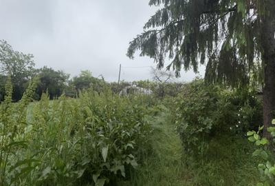 Casă cu 3 camere cu Teren 2500 Mp în Costești - 5