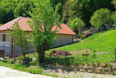 Teren de 1750 mp, în Central - 11