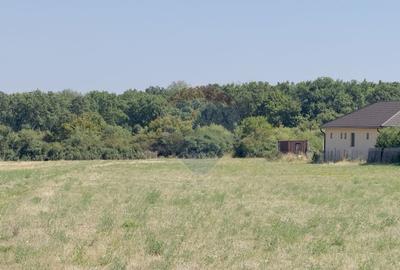 Teren Construcții intravilan de 2841 mp, în Apateu - 9