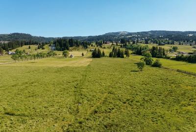 Teren agricol intravilan de 22000 mp, în Plaiu Șarului - 20