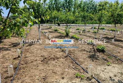 Teren in Poienari Apostoli, 21 E/mp, Avantajos, DN1, 34.500 euro - 5