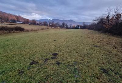 Spațiu comercial, în Bistra Mureșului - 3