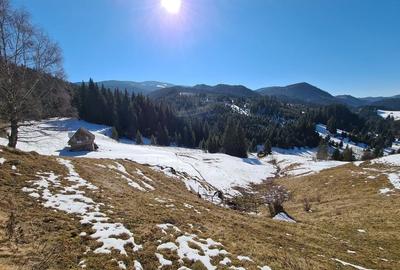 Teren situat langa padure de Vanzare