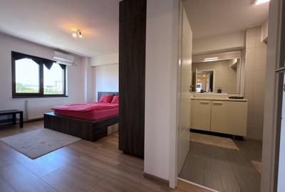 Apartament cu 3 camere decomandat, mobilat în 1 Decembrie 1918 - 11