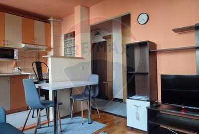 Apartament spatios cu 2 camere de inchiriat in Manastur - 4