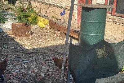 Casa de vanzare sector 2 - 3