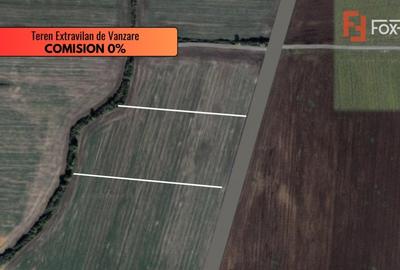 COMISION 0% Teren extravilan de vanzare in Sacalaz COMISION 0% Teren extravilan de vanzare in Sacalaz - 2