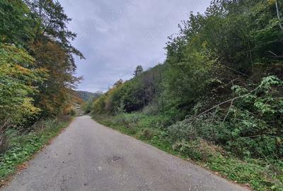 Teren în Bran - 2