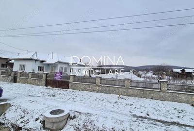 Casă cu 3 camere cu Teren 3726 Mp în Bâlteni - 9