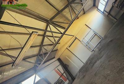 Spațiu comercial, de 100 mp, în Ciurea - 3