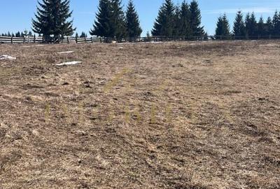 Spațiu comercial, în Măguri - 4