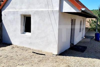Casă cu 2 camere în Ciumbrud - 1
