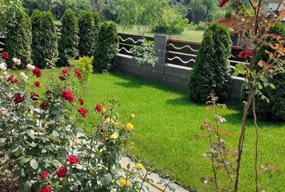 Proprietar vând casă în Dumbravița - 14