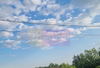 Se vinde teren 4200 mp in Teisori Giurgiu - 2