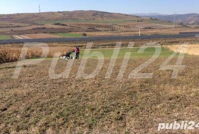 Teren de 5500 mp, în Stejeriș - 2
