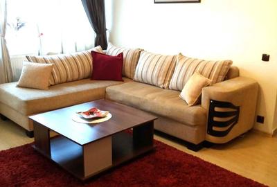 Apartament cu 2 camere semidecomandat în Bucureștii Noi - 8