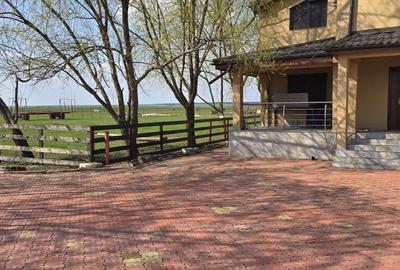 Teren de 60000 mp, în Stoenești - 5