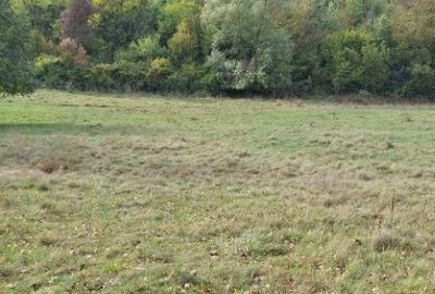 Teren langa apa 2230mp MEHADIA - 3