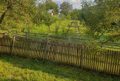 Casa 64 mp util, 2 camere + hol mare refacut, 4.100 mp intravilan - 10