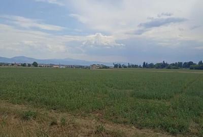 De vanzare terenuri extravilane in Sfantu Gheorghe - 3