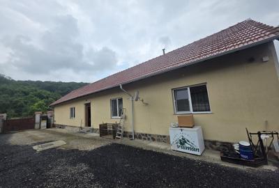 Vand casa individuala parter la intrare in Dumbravita - 1