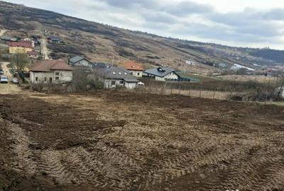 Teren de 1350 mp, în Dorobanț - 1