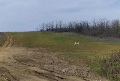 Teren în Șimnicu de Sus