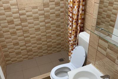 Berceni-Turnu Magurele-Garsoniera de inchiriat - 8