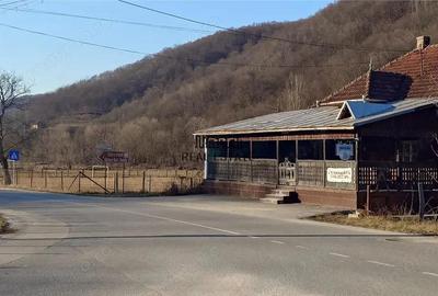 Proprietate in Apuseni - fosta pizzerie, ideala pentru afacere sau locuinta - 4
