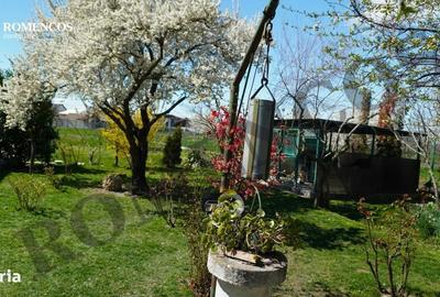 Spațiu comercial, de 430 mp, în Cireșu - 13