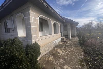 Casă individuală cu 4 camere cu Teren 1550 Mp în Fulga de Jos - 11