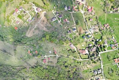 Teren intravilan Bran- Predelut - 30